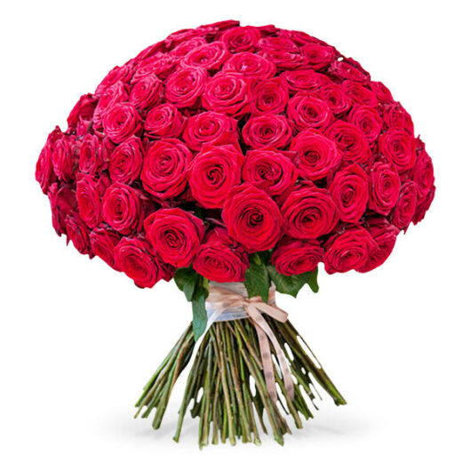Boulevard Reds - 301 Roses