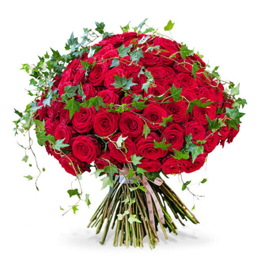 Double Century - 200 Roses
