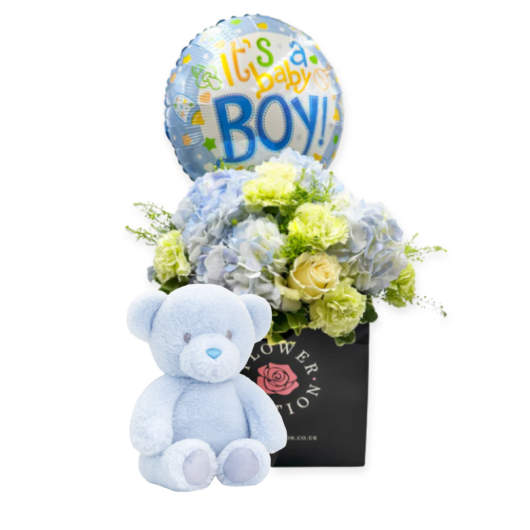 Little Prince Welcome Set - Standard