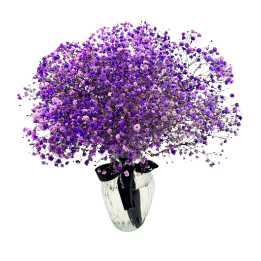 Purple Babys Breath in a Vase