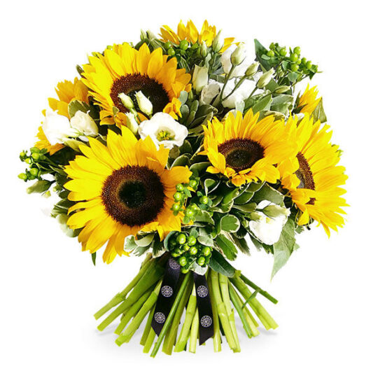 Spring Sunshine - Standard