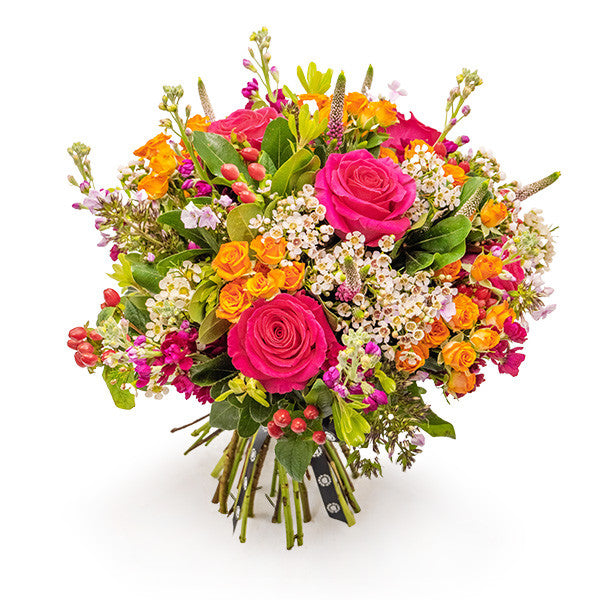 Blushing Brights - Standard