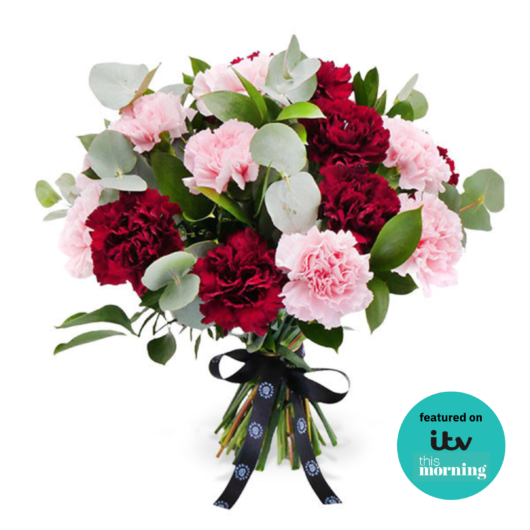 Carnation Crush - Standard