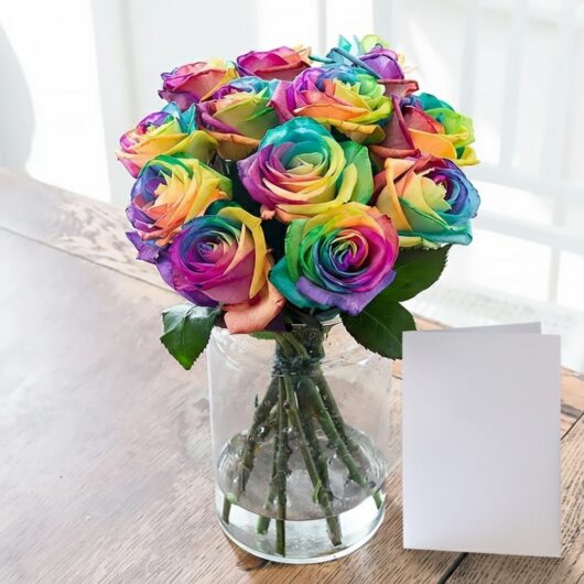 Rainbow Roses