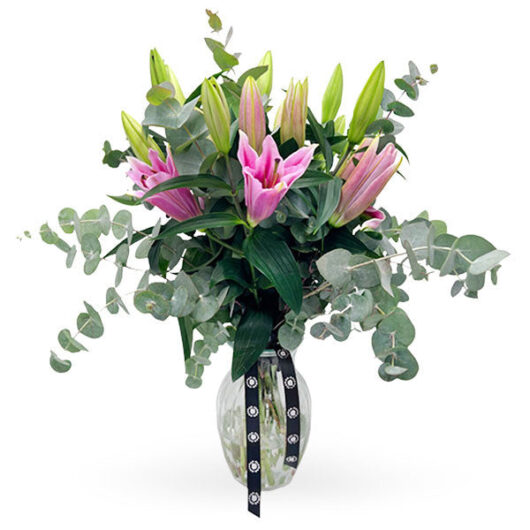 Stargazer (Vase Included)