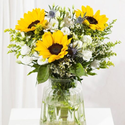 Sunflower Splendour